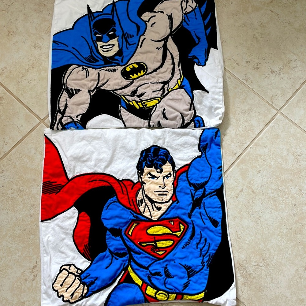 Pottery Barn Kids Euro pillow shams set of 2